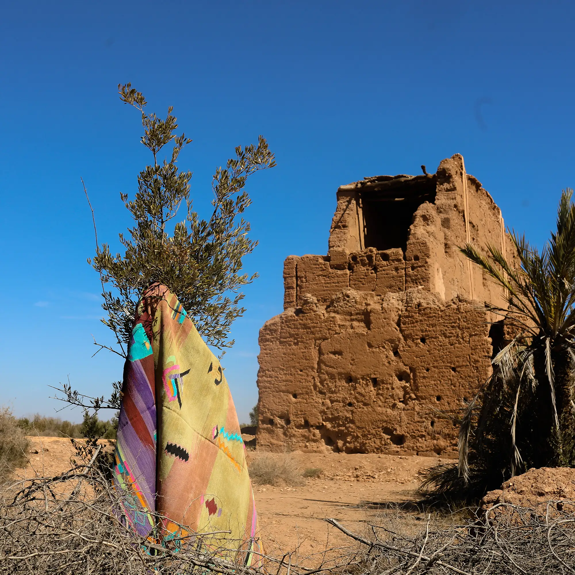 Intention to Preserve an Enduring Craft